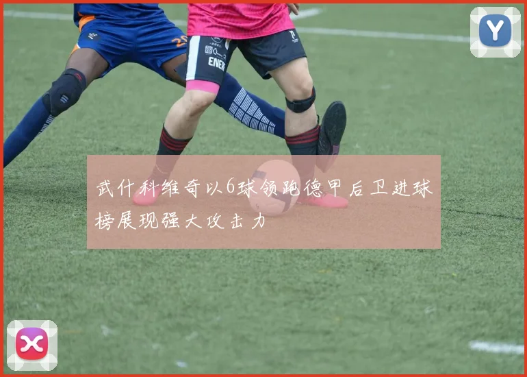 武什科维奇以6球领跑德甲后卫进球榜展现强大攻击力