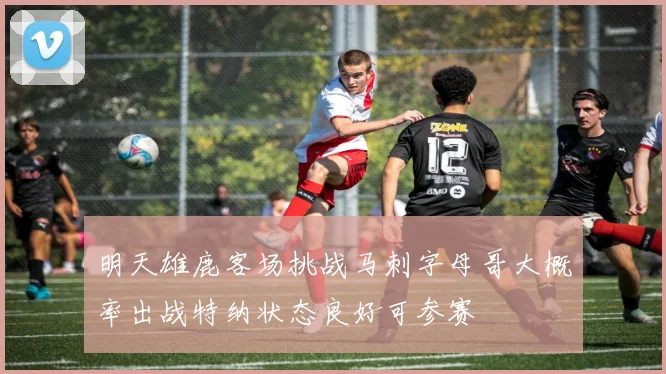 明天雄鹿客场挑战马刺字母哥大概率出战特纳状态良好可参赛